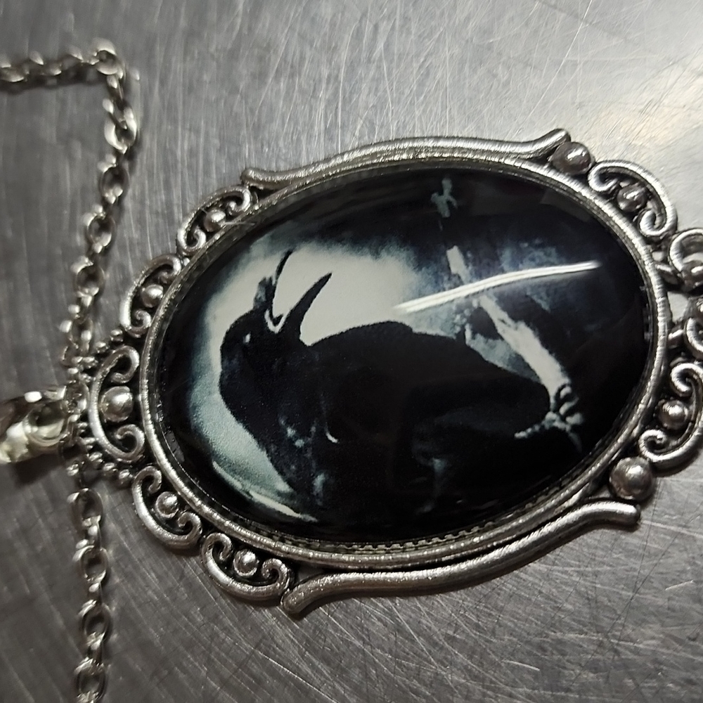 Edgar Allen poe black crow victorian vibes necklace - Picture 4 of 9